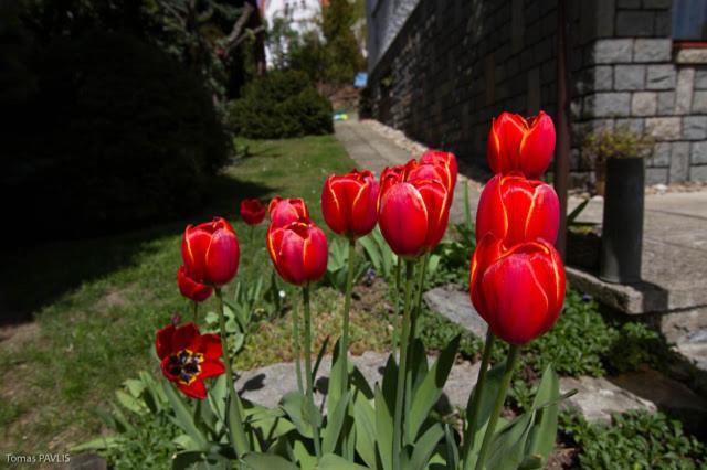 Pension Apartment Granit Prague Bilik gambar