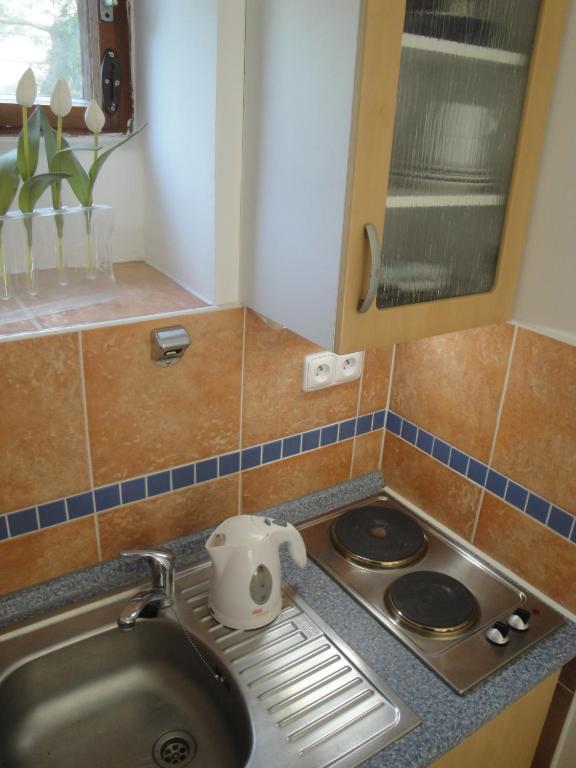 Pension Apartment Granit Prague Bilik gambar